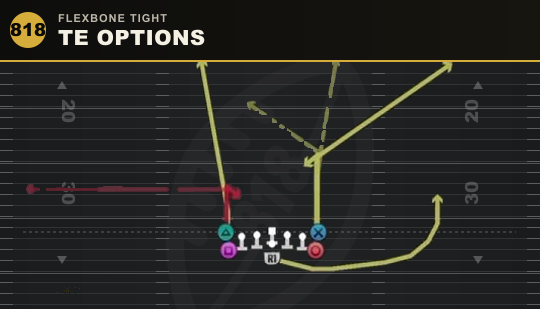 TE OPTIONS from Flexbone Tight