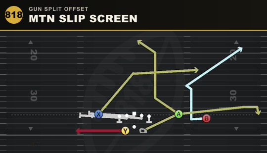 MTN SLIP SCREEN from Gun Split Offset