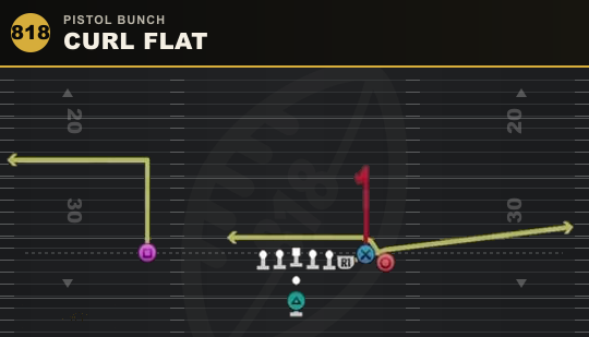 CURL FLAT from Pistol Bunch
