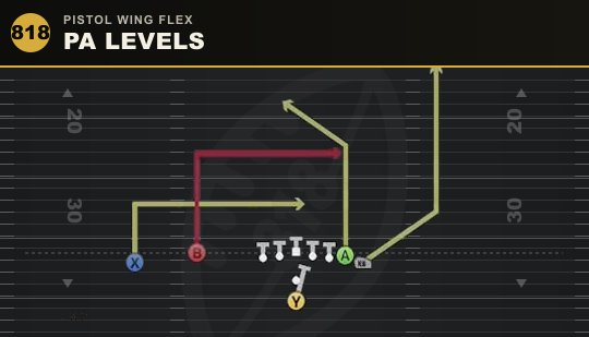 PA LEVELS from Pistol Wing Flex