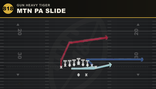 MTN PA SLIDE from Gun Heavy Tiger