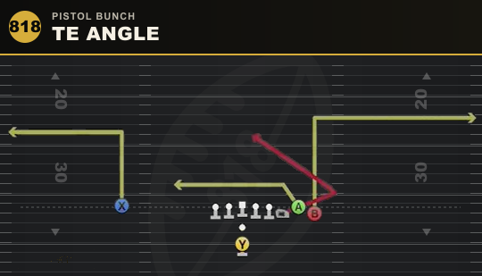TE ANGLE from Pistol Bunch