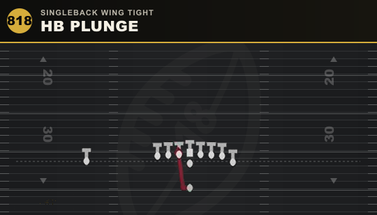 HB PLUNGE from Singleback Wing Tight
