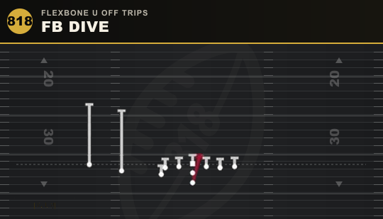FB DIVE from Flexbone U Off Trips