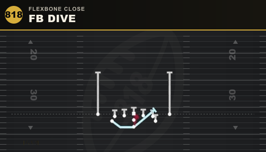 FB DIVE from Flexbone Close