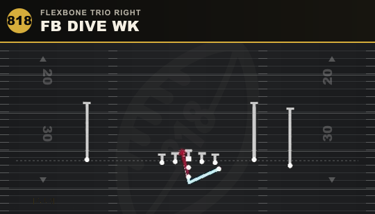 FB DIVE WK from Flexbone Trio Right