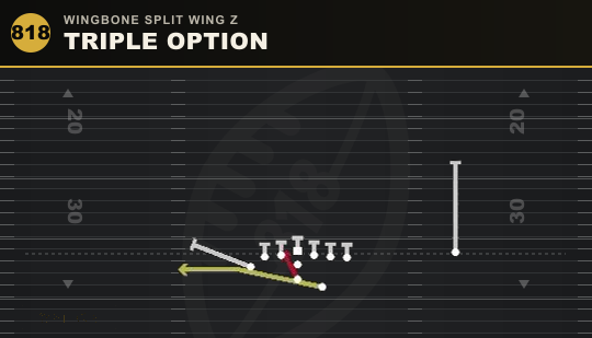 TRIPLE OPTION from Wingbone Split Wing Z