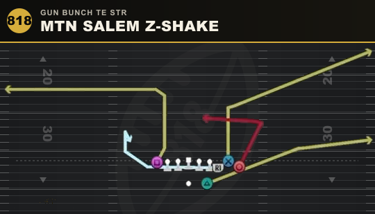 MTN SALEM Z-SHAKE from Gun Bunch TE Str