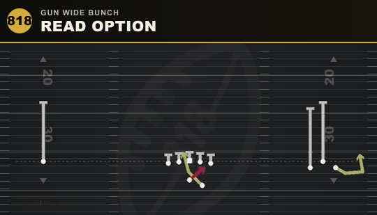 READ OPTION from Gun Wide Bunch