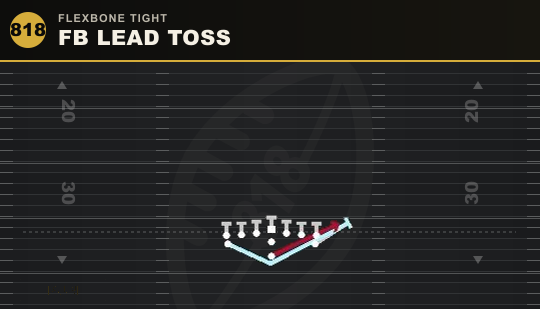 FB LEAD TOSS from Flexbone Tight