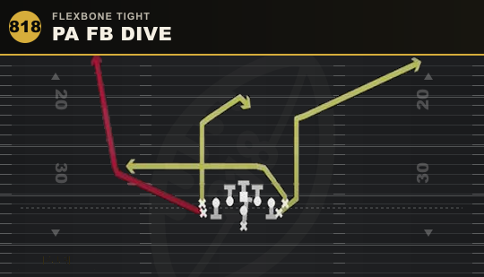 PA FB DIVE from Flexbone Tight