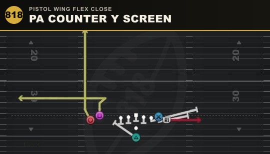 PA COUNTER Y SCREEN from Pistol Wing Flex Close