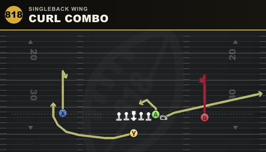 CURL COMBO from Singleback Wing