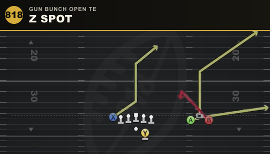 Z SPOT from Gun Bunch Open TE