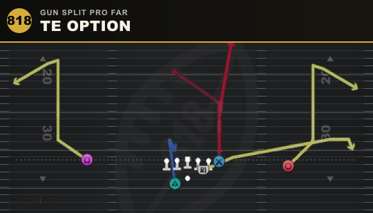 TE OPTION from Gun Split Pro Far