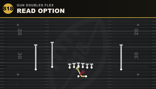 READ OPTION from Gun Doubles Flex