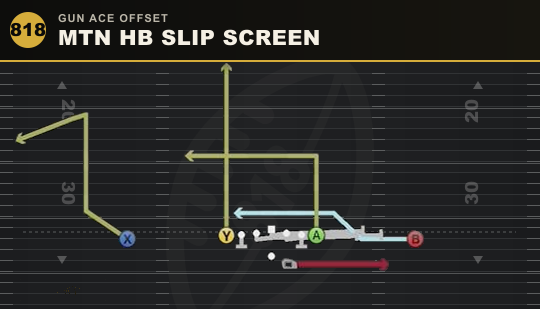 MTN HB SLIP SCREEN from Gun Ace Offset