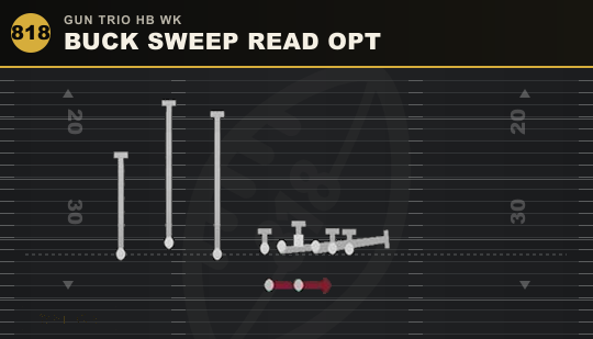 BUCK SWEEP READ OPT from Gun Trio HB Wk