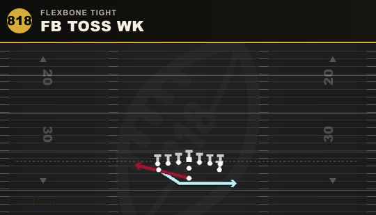 FB TOSS WK from Flexbone Tight