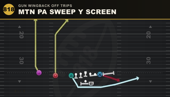 MTN PA SWEEP Y SCREEN from Gun Wingback Off Trips