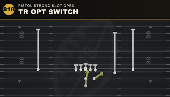 TR OPT SWITCH from Pistol Strong Slot Open