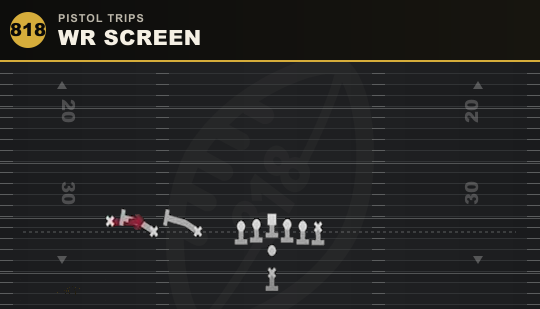WR SCREEN from Pistol Trips