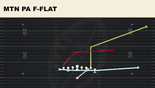 MTN PA F-FLAT from Ace Double Wing