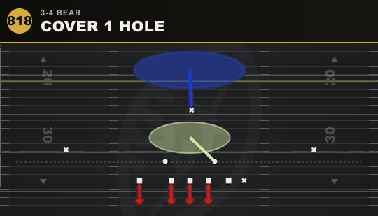 COVER 1 HOLE from 3-4 Bear