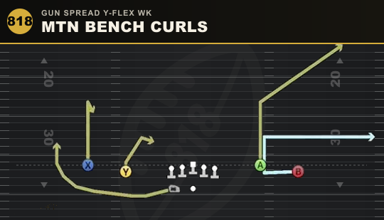 MTN BENCH CURLS from Gun Spread Y-Flex Wk