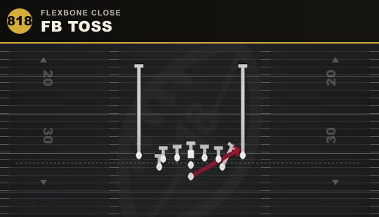 FB TOSS from Flexbone Close