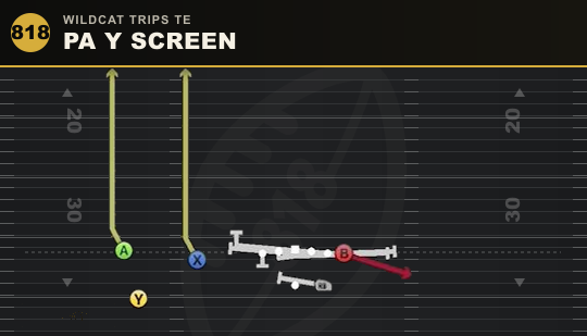 PA Y SCREEN from Wildcat Trips TE