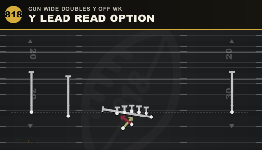 Y LEAD READ OPTION from Gun Wide Doubles Y Off Wk