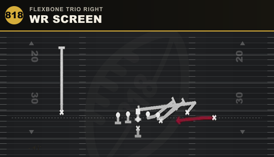 WR SCREEN from Flexbone Trio Right