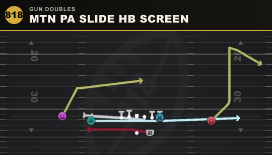 MTN PA SLIDE HB SCREEN from Gun Doubles
