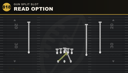 READ OPTION from Gun Split Slot