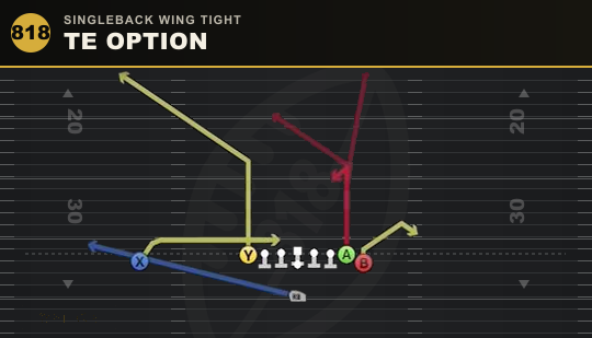 TE OPTION from Singleback Wing Tight
