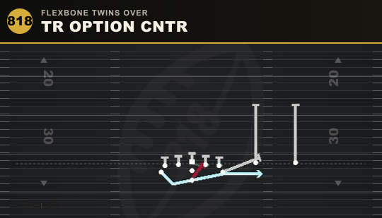 TR OPTION CNTR from Flexbone Twins Over