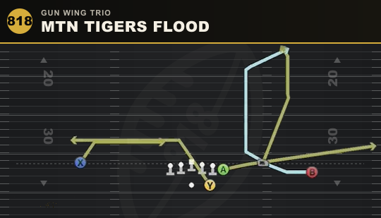 MTN TIGERS FLOOD from Gun Wing Trio