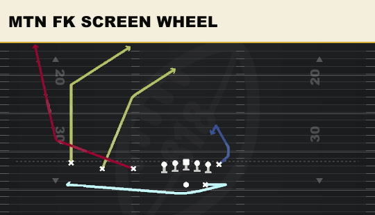 MTN FK SCREEN WHEEL from Trips TE