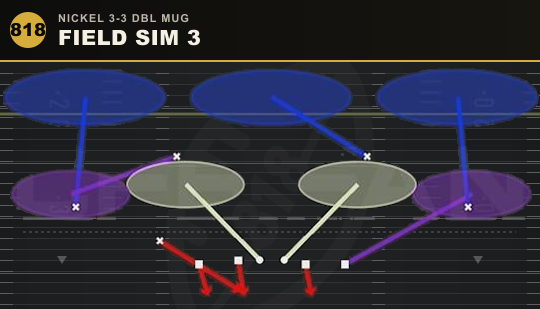 FIELD SIM 3 from Nickel 3-3 Dbl Mug