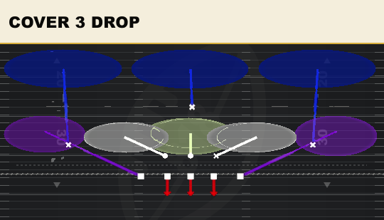 COVER 3 DROP from 3-4 Grizzly