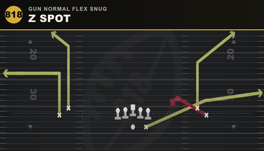 Z SPOT from Gun Normal Flex Snug