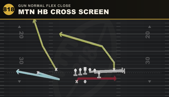 MTN HB CROSS SCREEN from Gun Normal Flex Close