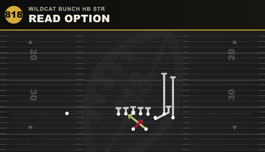 READ OPTION from Wildcat Bunch HB Str