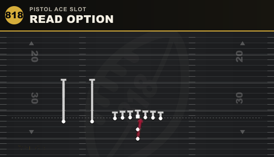 READ OPTION from Pistol Ace Slot