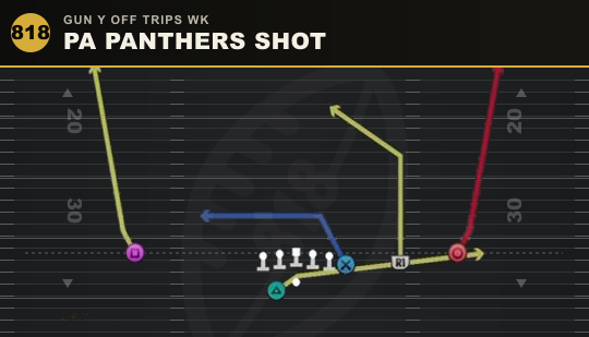 PA PANTHERS SHOT from Gun Y Off Trips Wk
