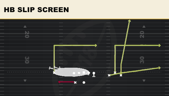 HB SLIP SCREEN from Bunch Wide Nasty