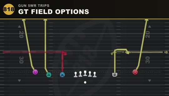 GT FIELD OPTIONS from Gun 5WR Trips