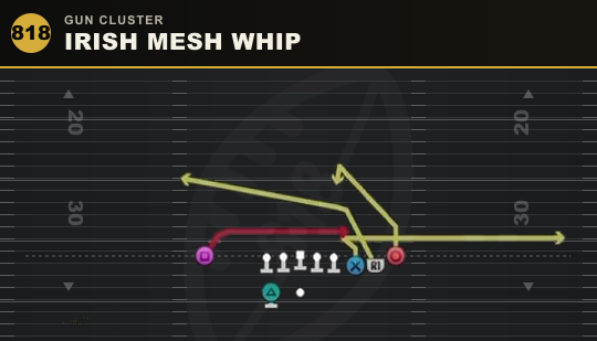IRISH MESH WHIP from Gun Cluster