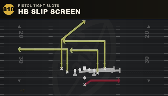 HB SLIP SCREEN from Pistol Tight Slots